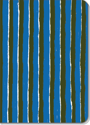 Shaggy Stripe B6 Blank Notebook